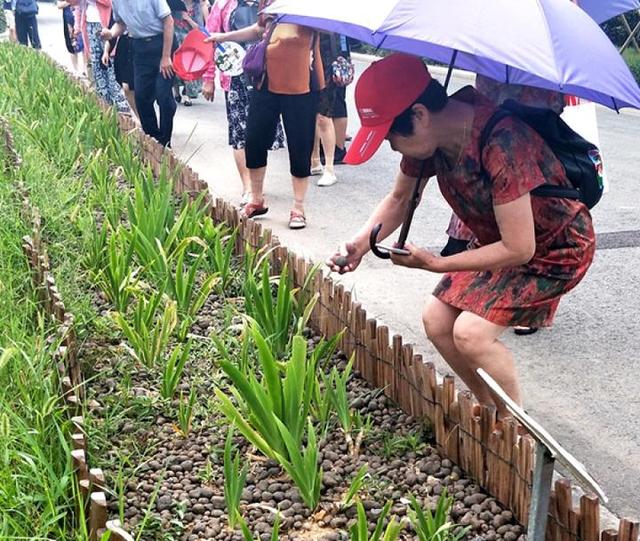 污泥是危害物？宁波成功将他变废为宝，那污泥界面仪作用是什么？